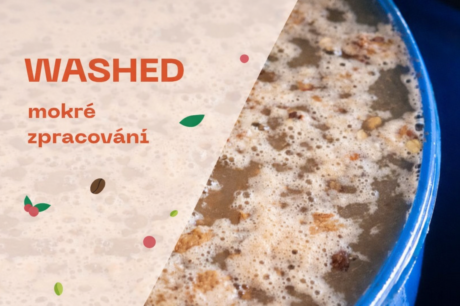 WASHED mokre zpracovani